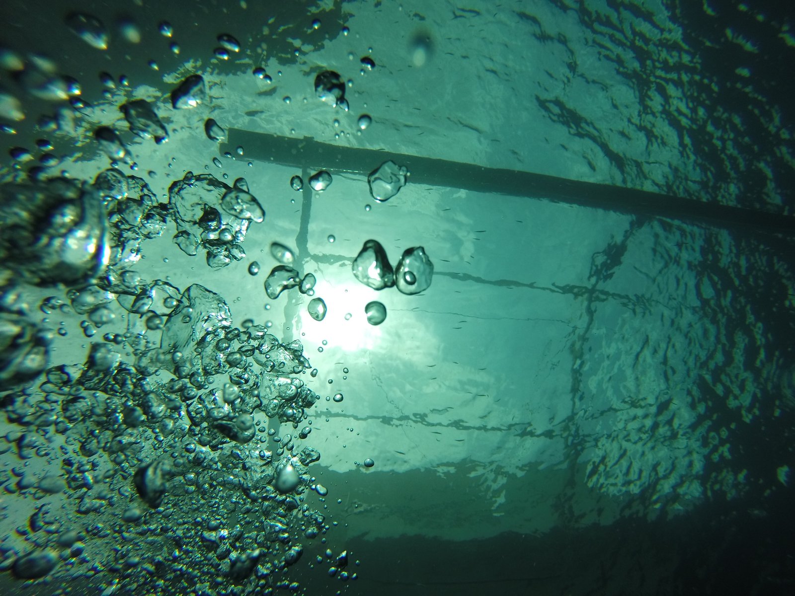 DCIM100GOPRO