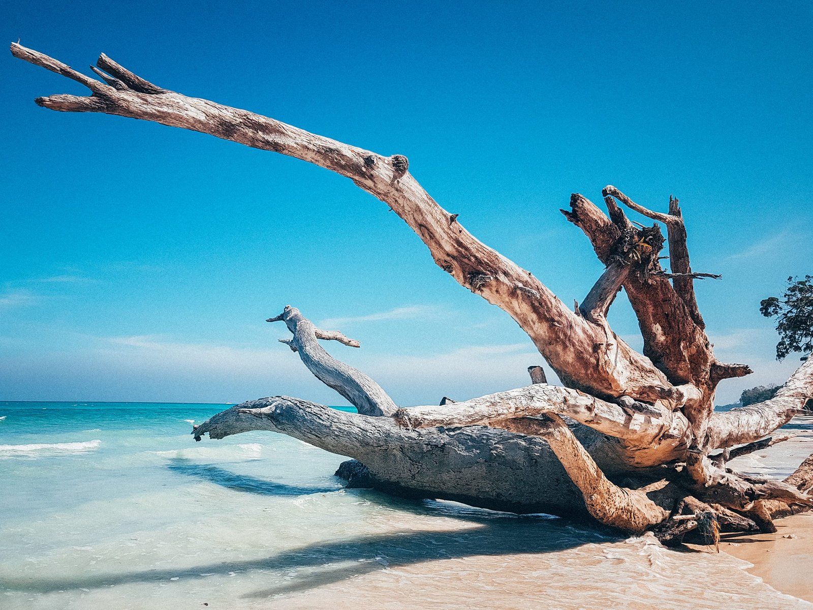 beach-travel-yoga-andamans-havelock island